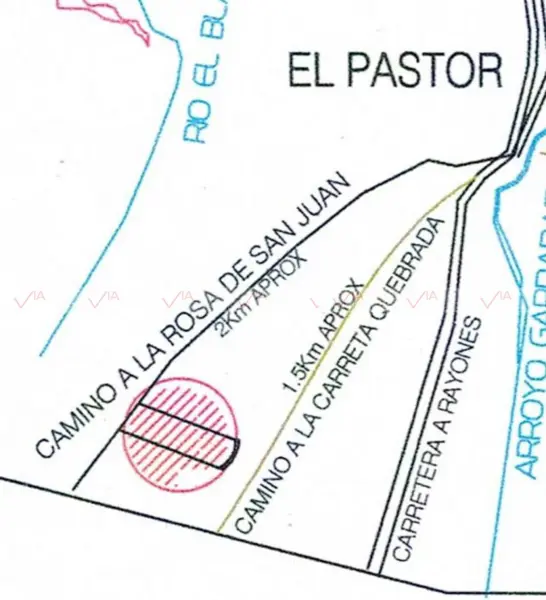 Terreno en venta en El Pastor, Montemorelos — foto 2 de 14