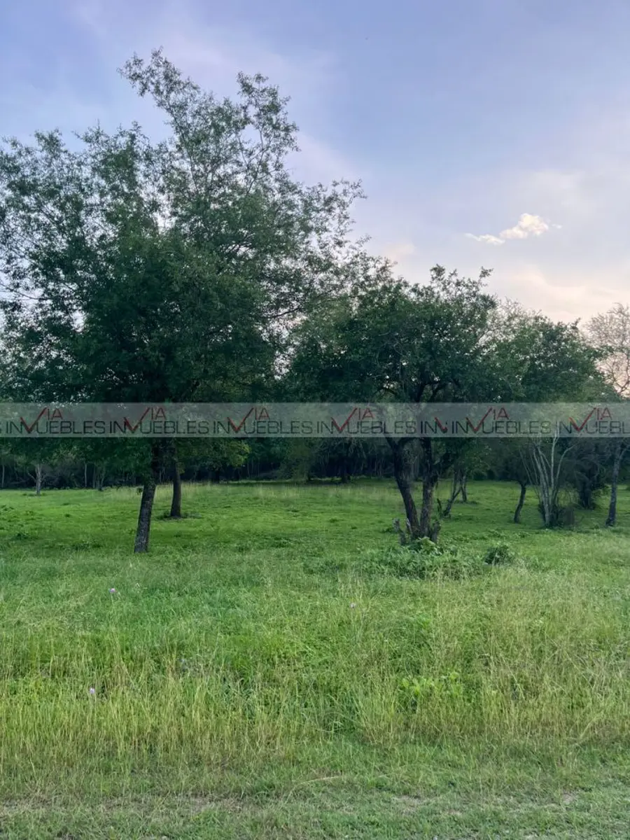 Terreno en venta en El Pastor, Montemorelos — foto 1 de 16