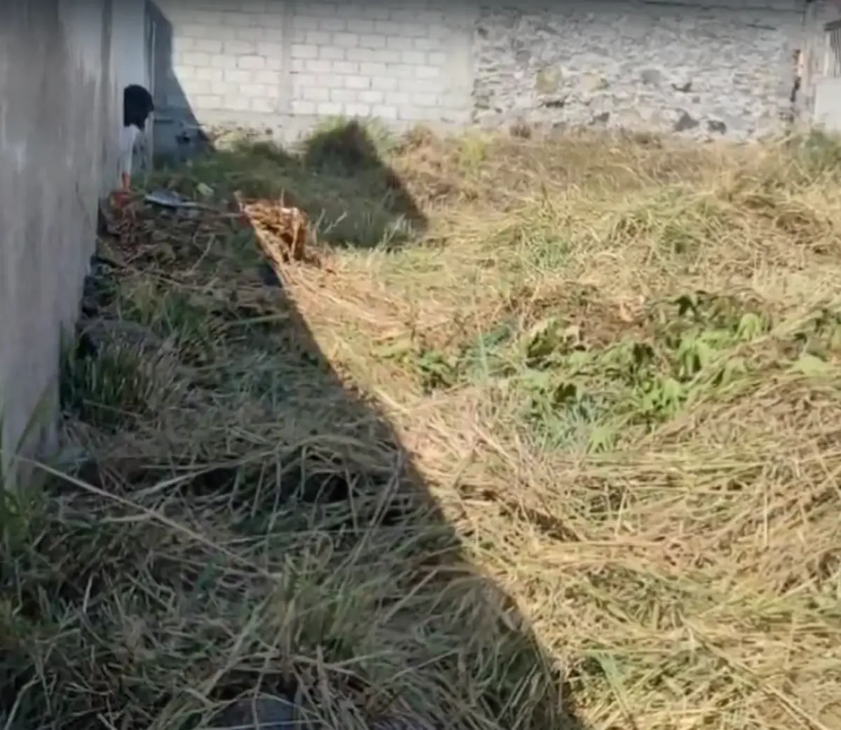Terreno en venta en Burgos, Temixco