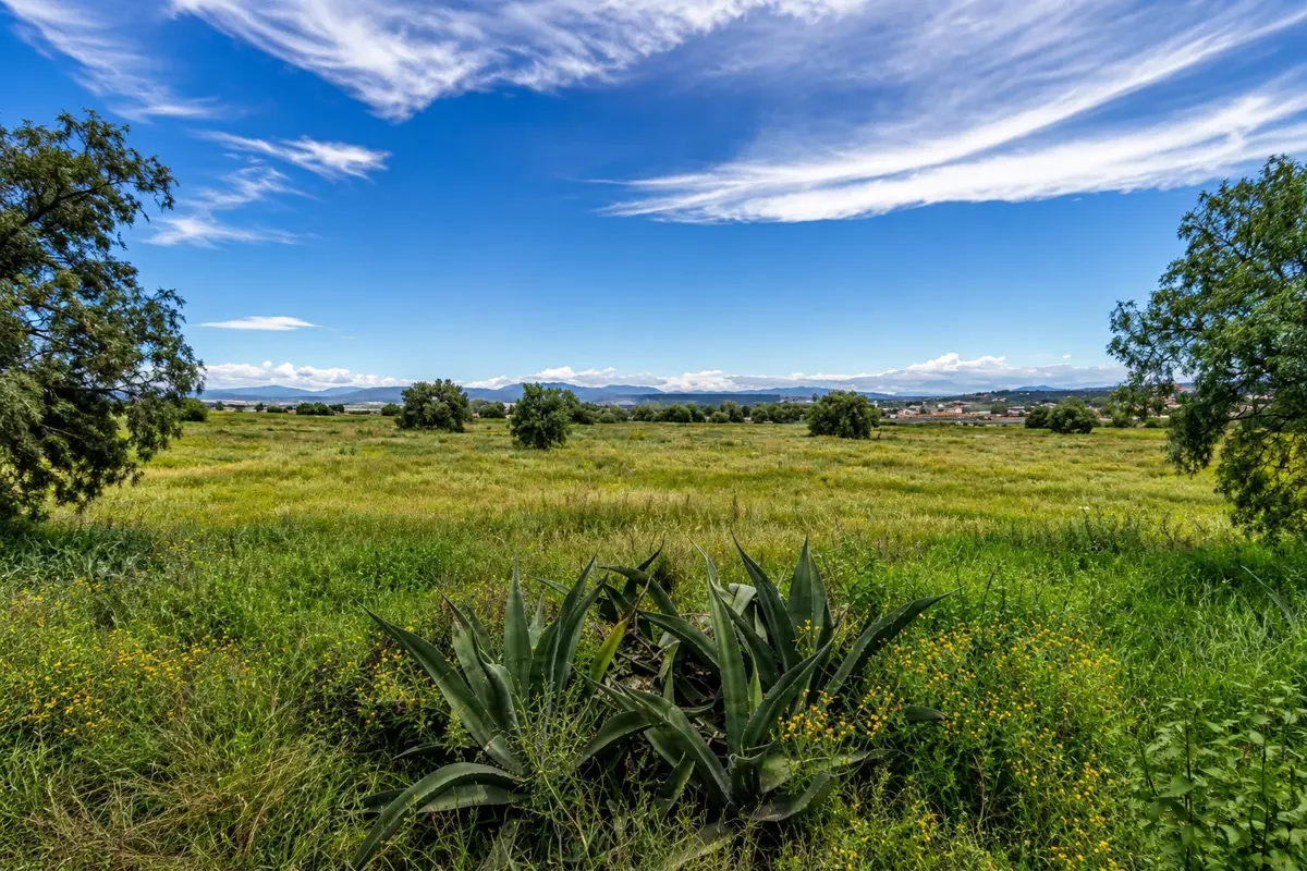 Terreno en venta en La Noria, Mineral de la Reforma — foto 1 de 7