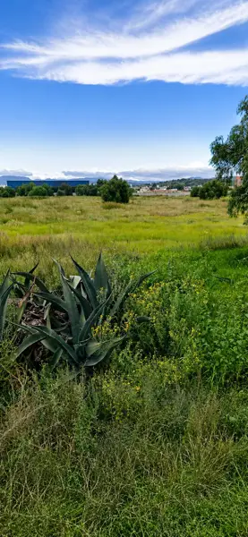 Terreno en venta en La Noria, Mineral de la Reforma — foto 2 de 7