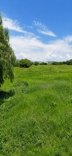 Terreno en venta en La Noria, Mineral de la Reforma — foto 3 de 7