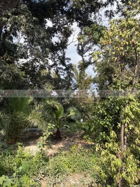 Terreno en venta en García Centro, García — foto 2 de 9
