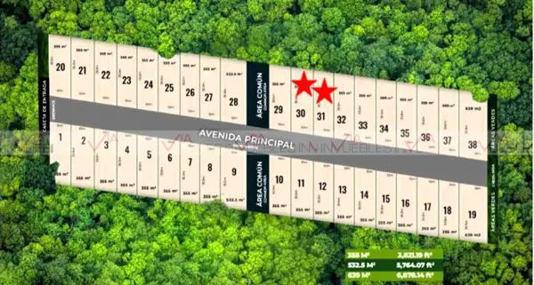 Terreno en venta en Ejidal, Tulum — foto 3 de 9