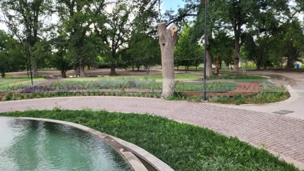 Terreno en venta en Tacubaya, Parras — foto 3 de 17