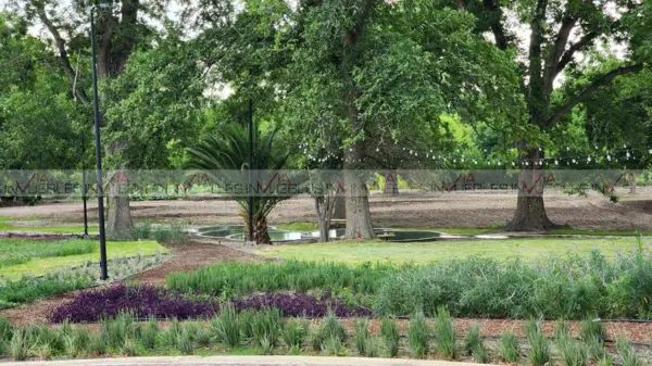 Terreno en venta en Tacubaya, Parras — foto 2 de 17