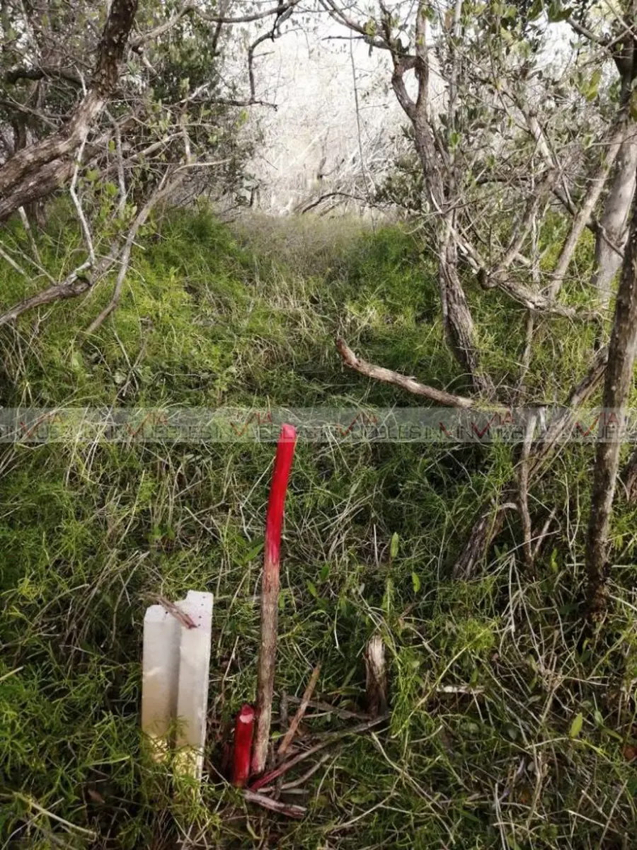 Terreno en venta en Isla de Holbox, Lázaro Cárdenas — foto 1 de 13