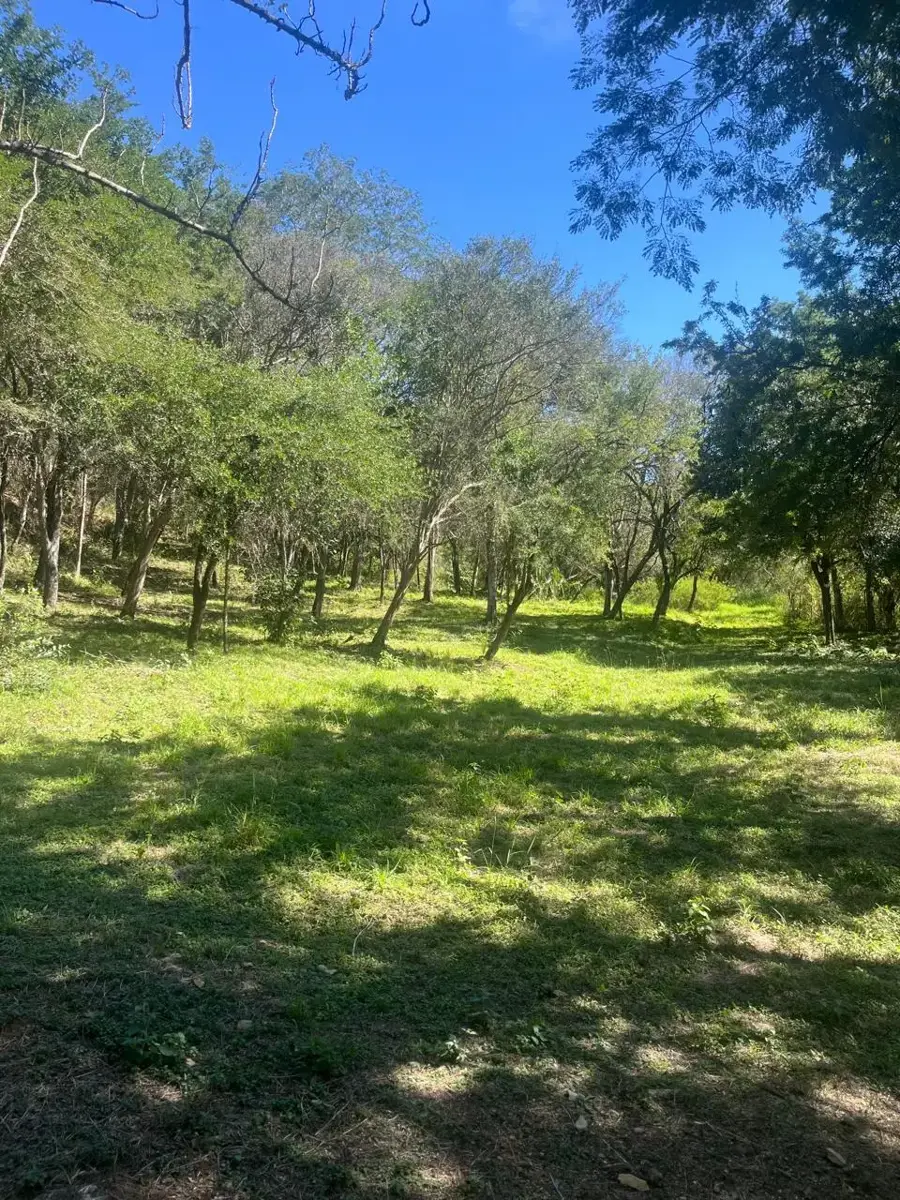 Terreno en venta en Lazarillos de Abajo, Allende — foto 1 de 21