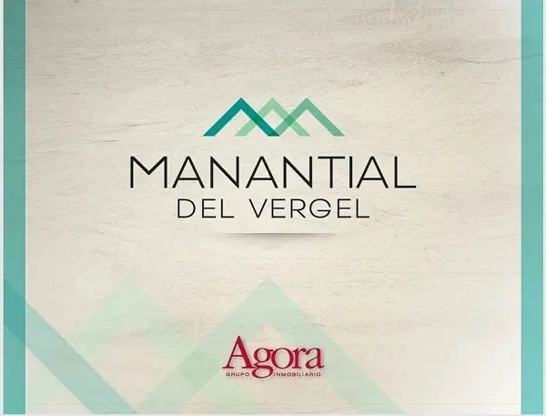 Terreno en venta en Huajuquito o los Cavazos, Santiago — foto 3 de 5