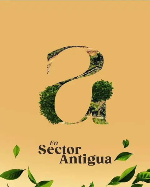 Terreno en venta en Huajuquito o los Cavazos, Santiago — foto 2 de 5