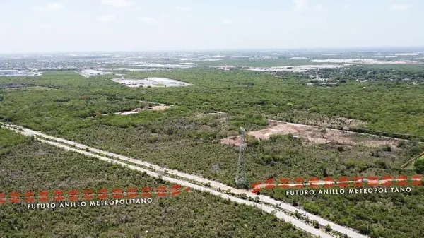 Terreno en renta en Tixcacal Opichen, Mérida — foto 3 de 6