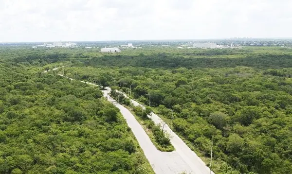 Terreno en renta en Tixcacal Opichen, Mérida — foto 2 de 6