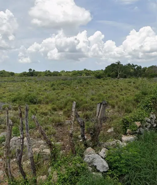 Terreno en venta en Dzemul, Dzemul — foto 2 de 7