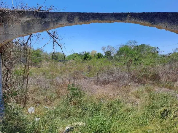 Terreno en venta en Chichi Suarez, Mérida — foto 3 de 16