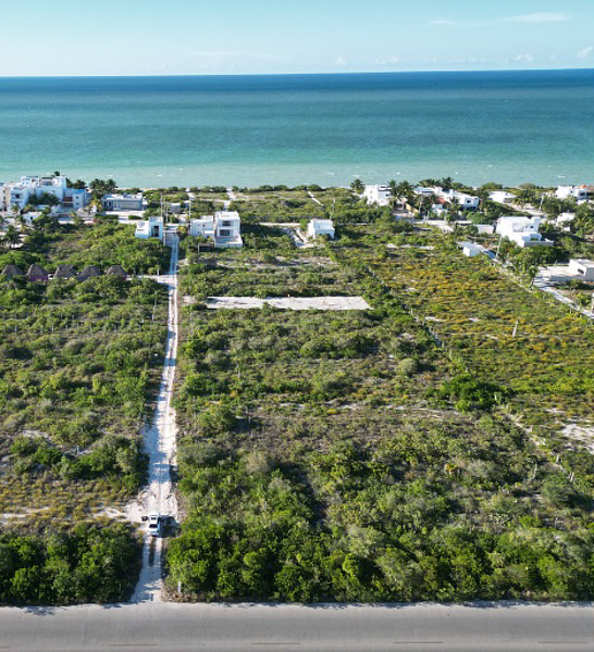Terreno en venta en San Benito, Dzemul — foto 3 de 26