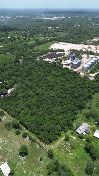 Terreno en venta en Centro Umán, Umán — foto 2 de 8
