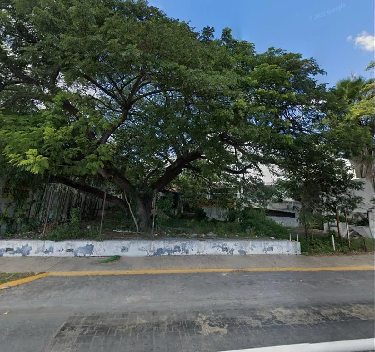 Terreno en venta en Prolongación Montejo, Mérida — foto 1 de 11