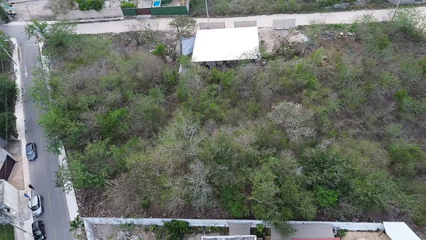 Terreno en venta en Chichi Suarez, Mérida — foto 2 de 6