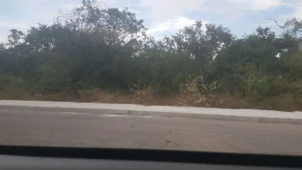 Terreno en venta en Dzidzilche, Mérida — foto 2 de 20