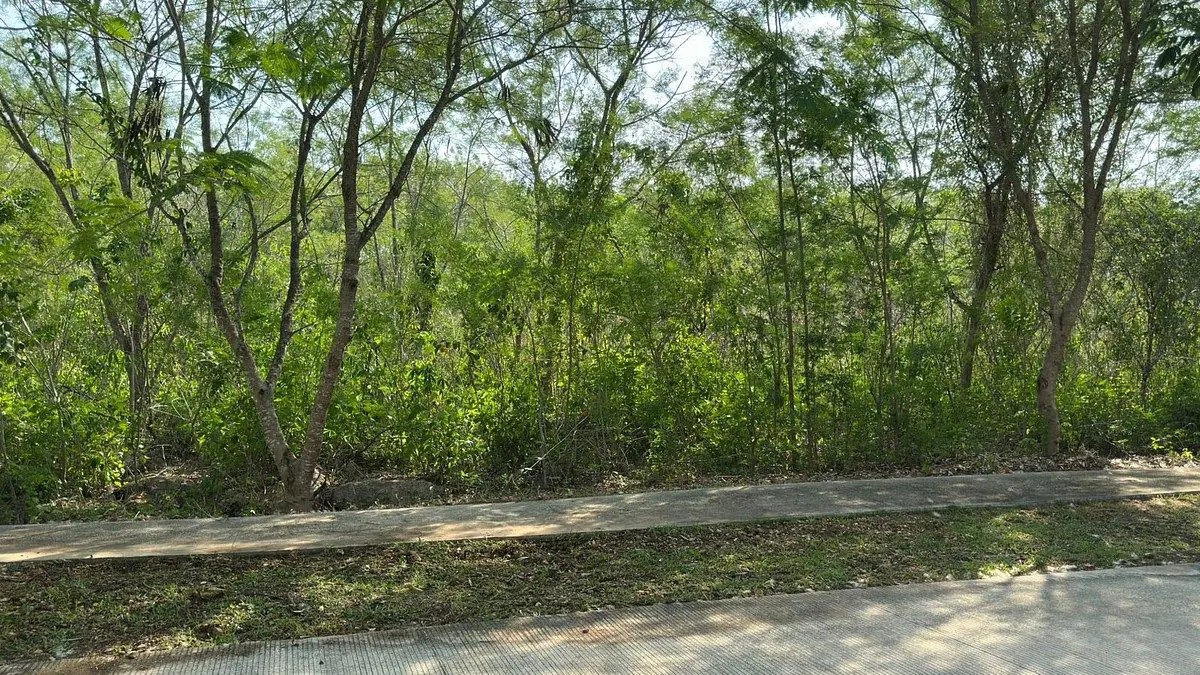 Terreno en venta en Cabo Norte, Mérida — foto 1 de 14