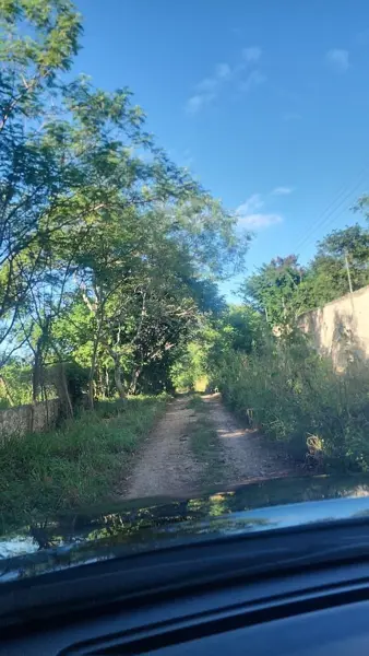 Terreno en venta en Cholul, Mérida — foto 3 de 8