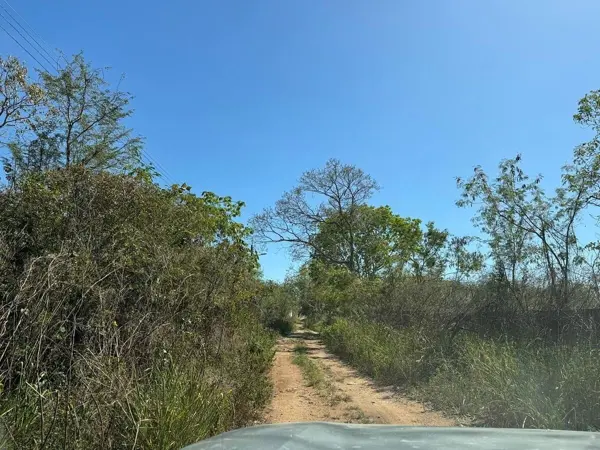 Terreno en venta en Cholul, Mérida — foto 2 de 8