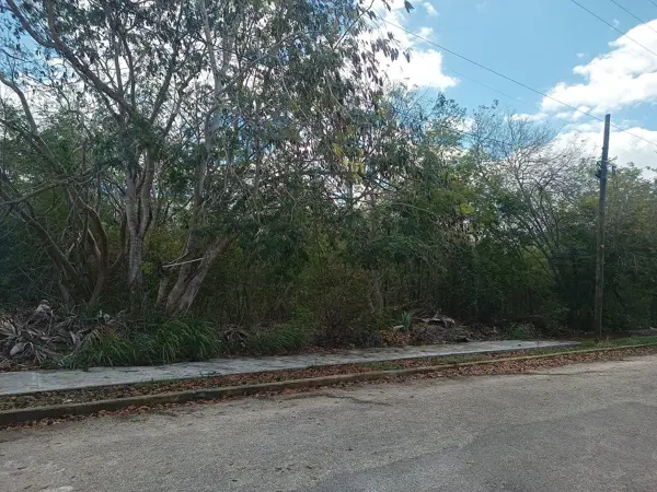 Terreno en venta en Cholul, Mérida — foto 2 de 11