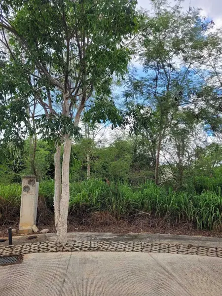 Terreno en venta en Cholul, Mérida — foto 3 de 16