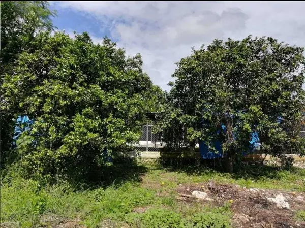 Finca-Rancho en venta en Centro Umán, Umán — foto 2 de 13