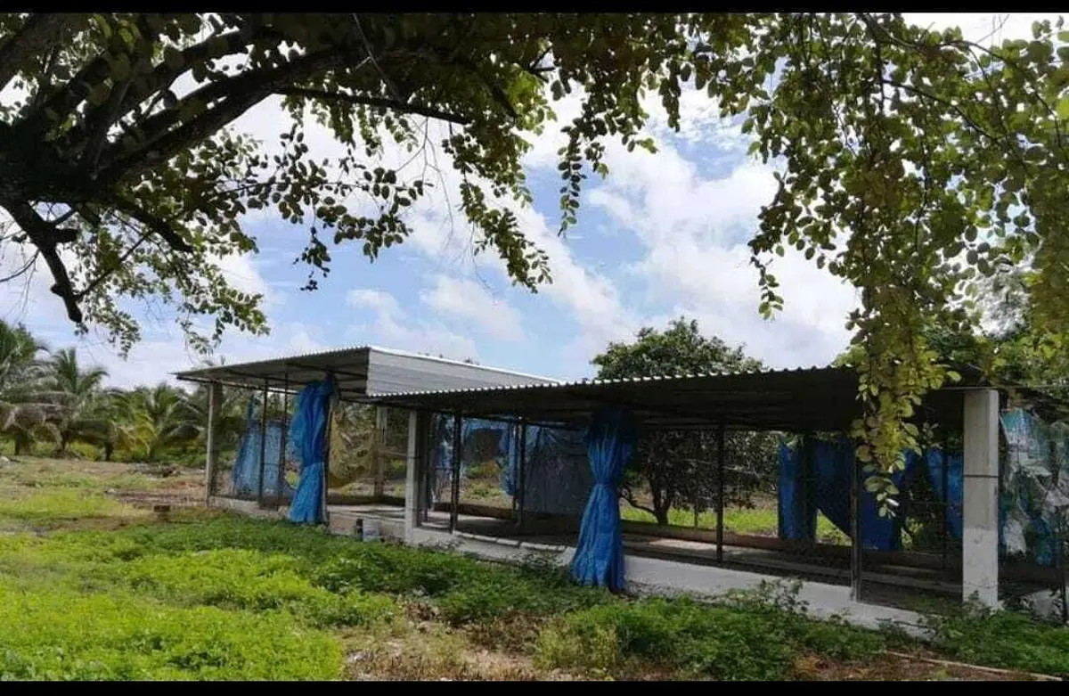 Finca-Rancho en venta en Centro Umán, Umán — foto 1 de 13