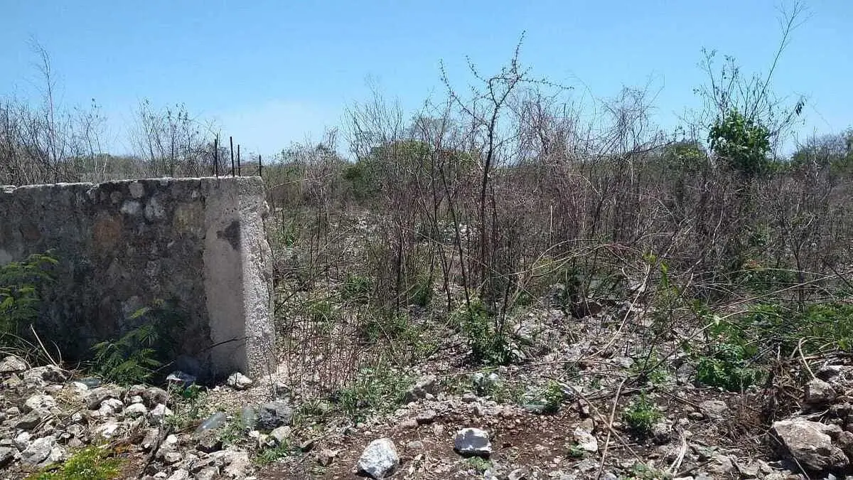 Terreno en venta en Chichi Suarez, Mérida — foto 1 de 13