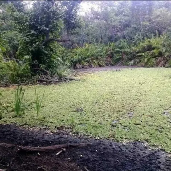 Finca-Rancho en venta en Buctzotz, Buctzotz — foto 3 de 16