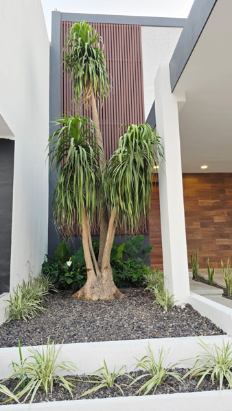 Casa en venta en Puerta de Hierro, Tuxtla Gutiérrez — foto 2 de 25
