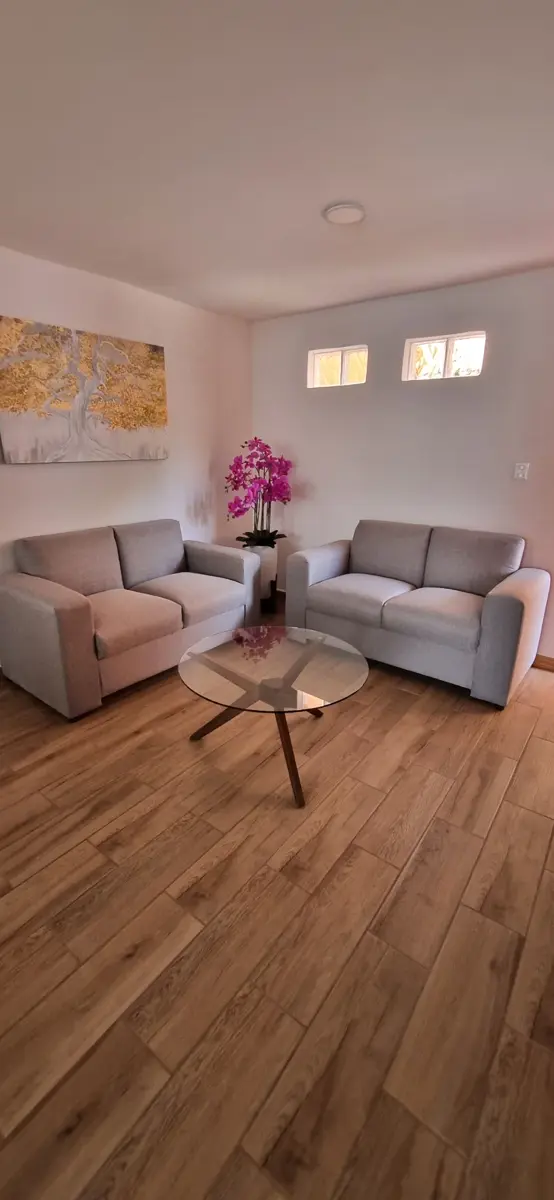 Departamento en renta en San Juan Aquiahuac, San Andrés Cholula — foto 1 de 20