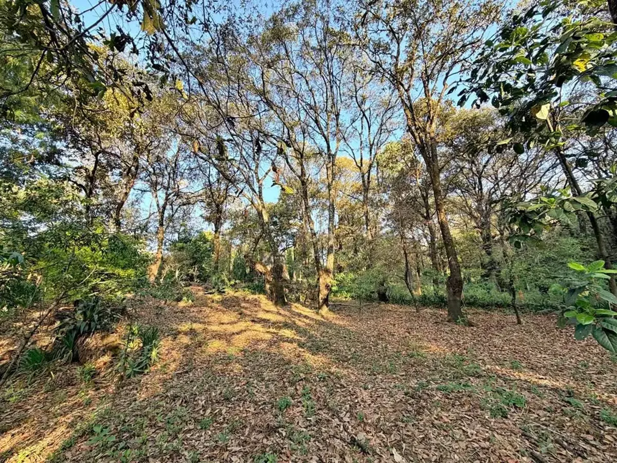 Terreno en venta en Los Ocotes, Tepoztlán — foto 1 de 6