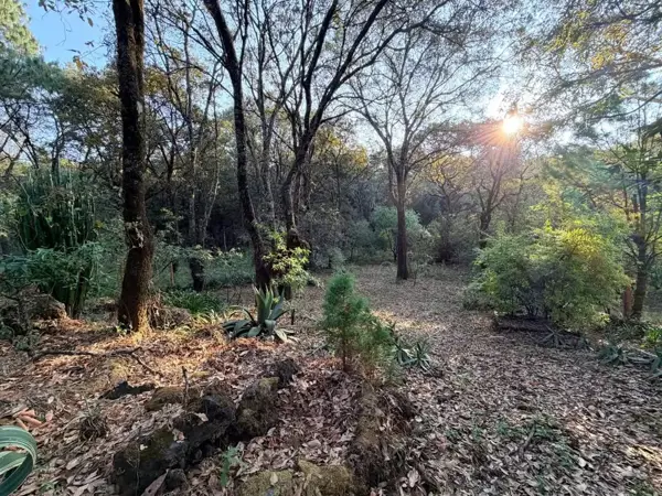 Terreno en venta en Los Ocotes, Tepoztlán — foto 2 de 6