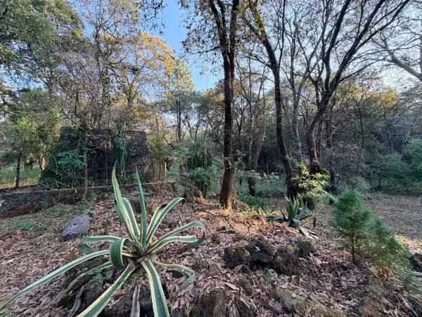 Terreno en venta en Los Ocotes, Tepoztlán — foto 3 de 6