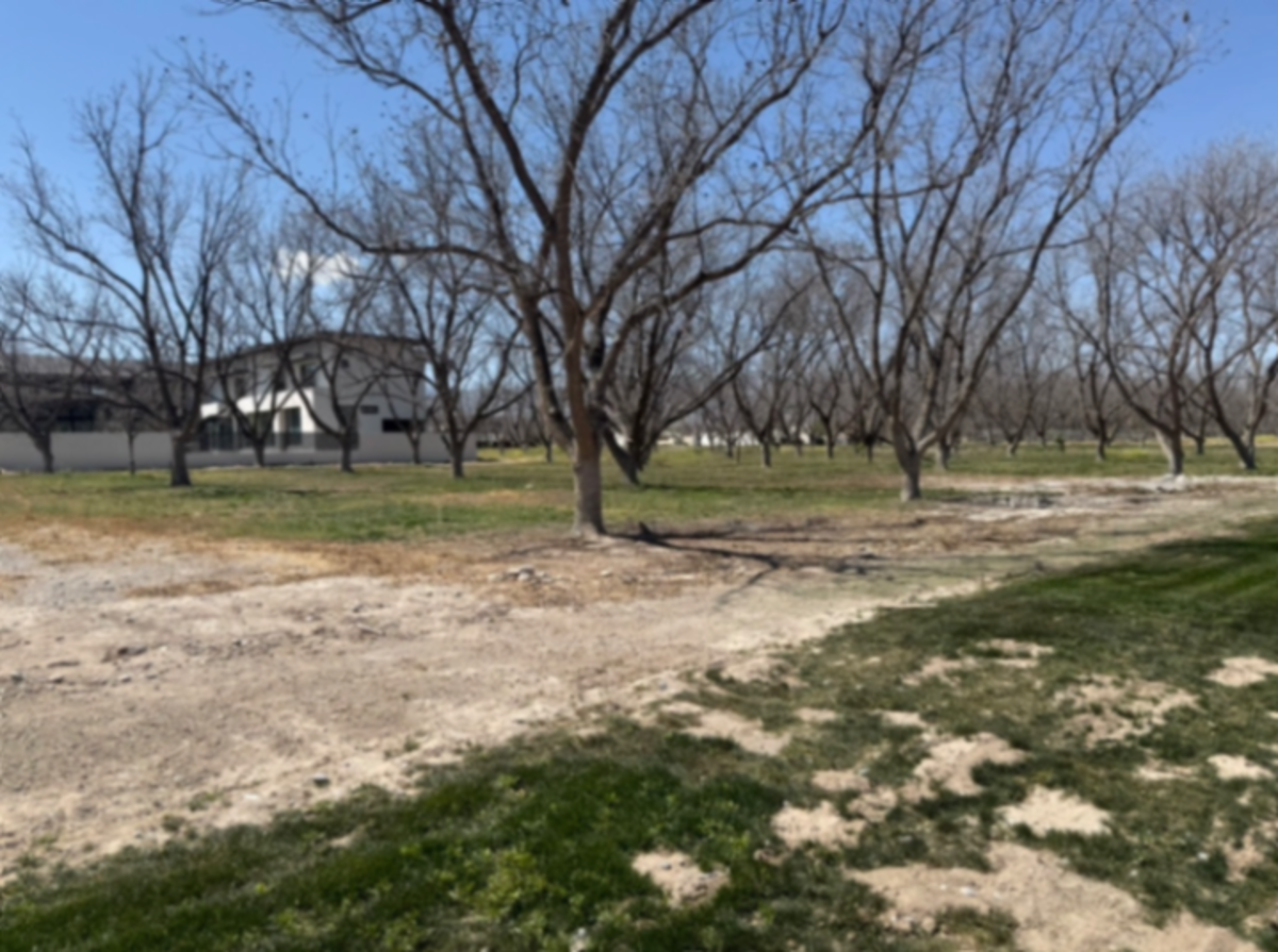 Terreno en venta en Parras de la Fuente Centro, Parras — foto 1 de 3