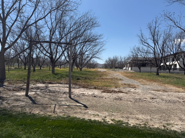 Terreno en venta en Parras de la Fuente Centro, Parras — foto 2 de 3