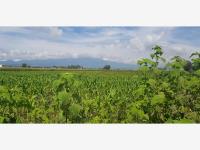Terreno Industrial en Venta en Corredor Industrial Quetzalcóatl, Puebla