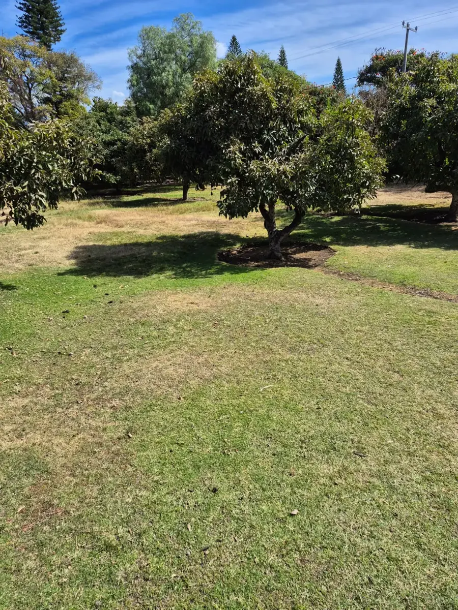 Terreno en venta en Solares de Tenextepec, Atlixco — foto 1 de 9