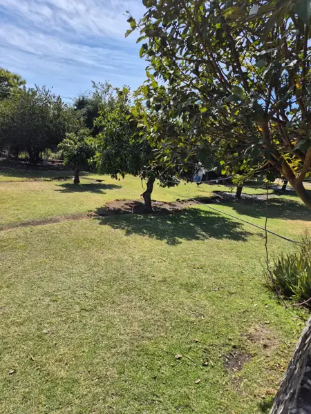 Terreno en venta en Solares de Tenextepec, Atlixco — foto 3 de 9