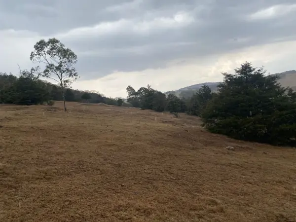 Terreno en venta en Donicá, Amealco de Bonfil — foto 3 de 7