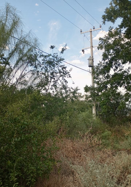 Terreno en venta en Parras, Parras — foto 2 de 7