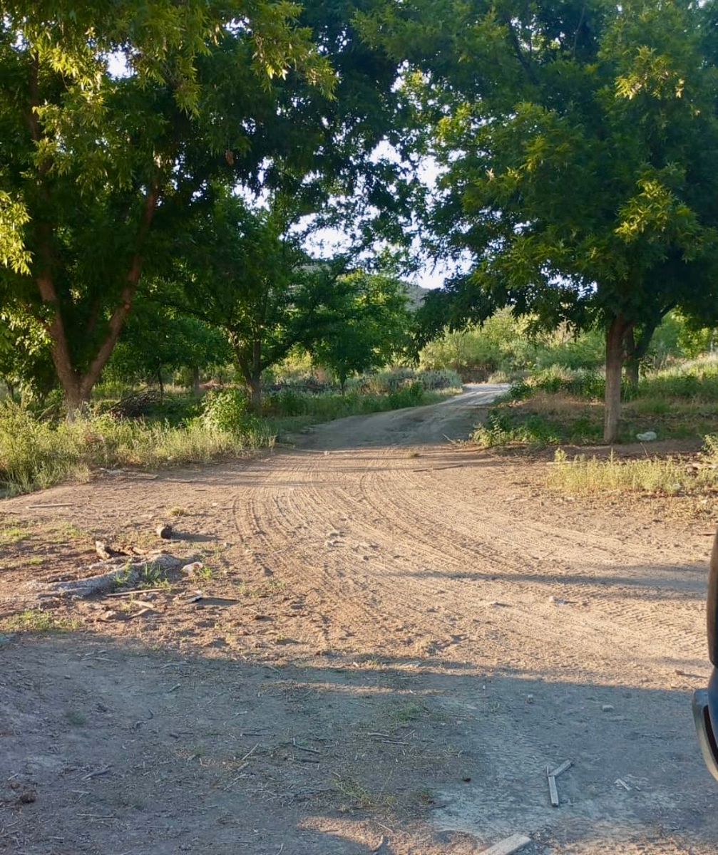 Terreno en venta en Parras, Parras — foto 1 de 7