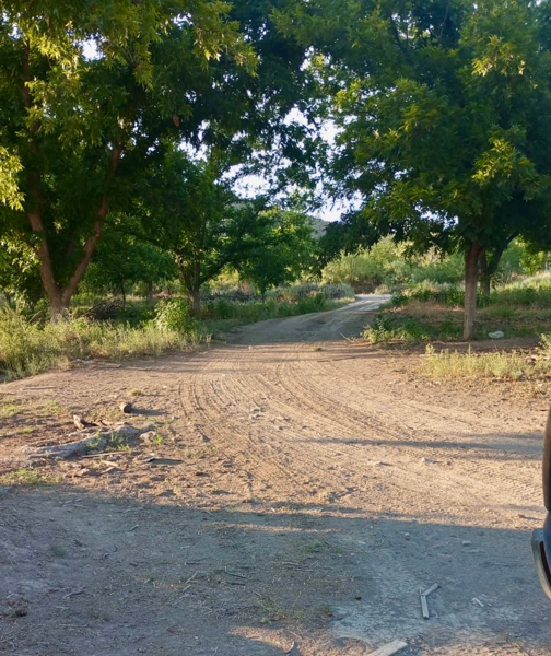 Terreno en Venta en Parras, Coahuila - Ideal para Actividades Productivas