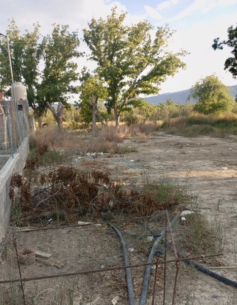 Terreno en venta en Parras, Parras — foto 3 de 7