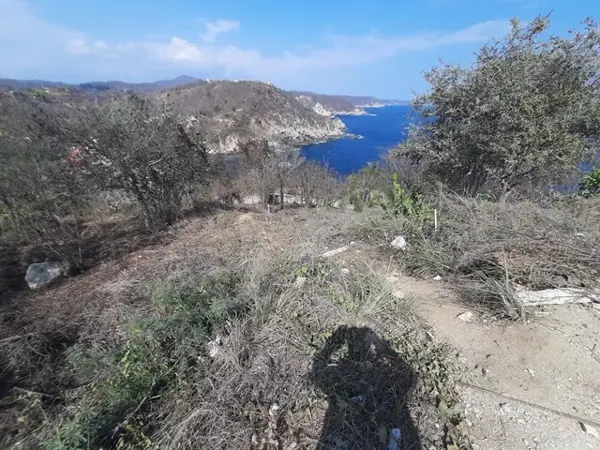 Terreno en venta en Playa Estacahuite, San Pedro Pochutla — foto 3 de 9
