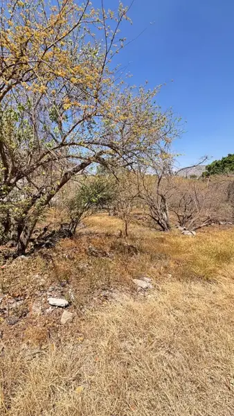 Terreno en venta en Las Cañadas (Bosques de San Isidro), Zapopan — foto 3 de 8