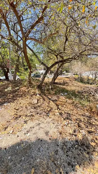 Terreno en venta en Las Cañadas (Bosques de San Isidro), Zapopan — foto 2 de 8